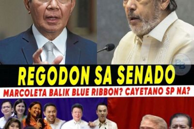 Nagbabagang Utos: Bakit Biglang Bumaligtad ang Senado Laban kina Sotto at Lacson?