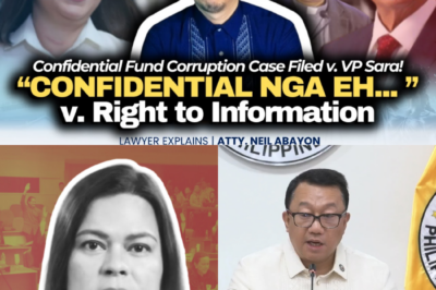 VP SARA DUTERTE VS. OMBUDSMAN: Kaso ng 612M Confidential Funds, Lusot o Kulong? Legal Expert, Ibinunyag ang “Immunity” sa Bank Accounts at ang Laban ng National Security vs. Transparency!