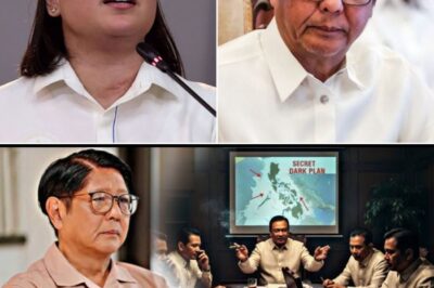 Sabwatan laban kay BBM—May Nakagugulat na Grupo na Gustong Pabagsakin Siya!