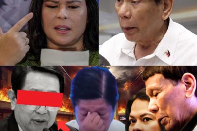 CONGRESSMAN BUMUO SA QUADCOM, BINUKLAT ANG “LIHIM NG KAPANGYARIHAN” — ANG PANGALANG MARY GRACE PIATTOS, ANG MGA NAWALANG DOKUMENTO, AT ANG KATAHIMIKANG NAKAKAGIMBAL NA GUMULAT SA LAHAT!