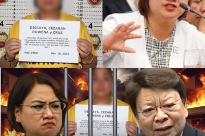 DISGRASYA SA LOOB NG SISTEMA: Dahil sa Banta ng Kulong, Mapipilitan na Bang Ilaglag ang Lahat?