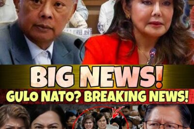 Imee Marcos at Marcoleta, Ang Matinding Balita na Naging Ulat Ngayon—Ano Ang Nangyari?