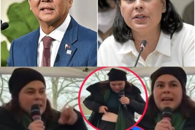 Sare Dutertee, Galit na Galit sa Pambabastos ni Bongbong Marcoos—Kas0s Ang Naghihintay!