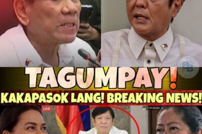 **🔥BREAKING NEWS! HETO NA! SA WAKAS! GRABE! SHOCKING REVELATION SA DPWH FLOOD CONTROL SCANDAL – BILYON-BILYONG PERA NAWALA, SI CABRAL ANG SUSI! NAGULANTANG ANG BUONG BANSA!**