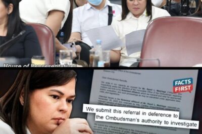 Ex-Aide fordert Ombudsmann zu einer Untersuchung von Sara Duterte – Was steckt dahinter?