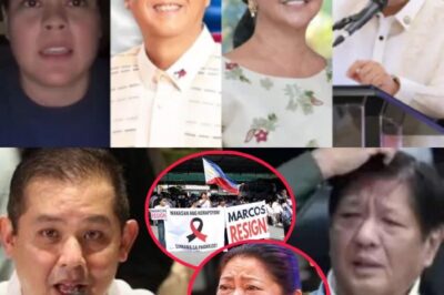 Martin Romualdez KONFRONTIERT Bongbong Marcos – ALLE GEHEIMNISSE WURDEN ENTHÜLLT!