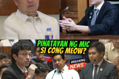 SUSPENDIDO SI CONG MEOW! LEVISTE AT MARCOLETA KINONTRA ANG DISISYON NI ROMUALDEZ?