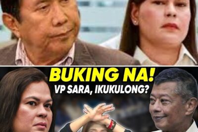 BOYING REMULLA NABUKING NA! IMEE MARCOS IBINUNYAG NA TARGET SI VP SARA NA IPAKULONG!