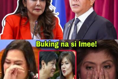 SARA DUTERTE, BISTADO NA ANG PLANO NI IMEE MARCOS PARA SA KANYA! BONGBONG MARCOS, UTak SA LAHAT NG ITO?