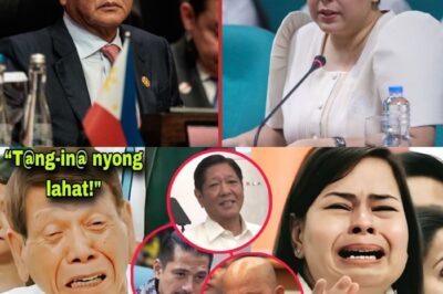 SUMAB0G SA GALIT SI RODRIGO DUTERTE SA PAG-IMPEACHED KAY SARA DUTERTE! BONGBONG MARCOS, DEDMA NA LANG?
