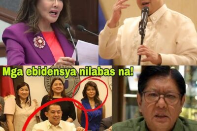 IMEE Marcos MARTIN Romualdez, NILABAS EBIDENSYA PAGNANAKAW ni BONGBONG MARCOS! BISTADO LIZA MARCOS