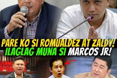 JING PARAS BINALAAN NA SI ROMUALDEZ? NAGKA-BISTUHAN NA — JING PARAS BINULGAR ANG NALALAMAN KAY ZALDY