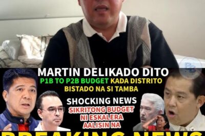 Nabulabog ang Kapitolyo: Sikretong Budget na Nagpayanig Kay Martin Makukulong—Ahas sa Likod ng Iskandalo, Nabisto?!