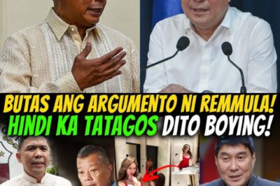 ANG SAYA NG XMAS PARTY NI RAFFY? ATTY TORREON SINUPLAK SI BOYING REMULLA!