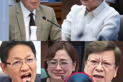 Senate Hearing Nagulantang: Testigo Naglabas ng Shocking Video nina Marcoleta at Sarah Discaya, Relasyon Umano na Nabulgar sa Gitna ng Pagtatalo at Tension sa DOJ – Ano ang Nakatagong Katotohanan?