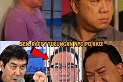 Roderick Paulate Hinatulan ng 62 Taong Pagkakakulong sa Kasong Graft at Falsification: Isang Kwento ng Pagkatalo, Pag-asa, at Pagsubok