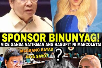 “WALANG HIYA KA!” Ito ang naging matapang na pahayag ni Senator Rodante Marcoleta laban kay Vice Ganda matapos siyang ipahiya at gamitin ang kanyang mukha para sa “mababaw na biro.” Sa gitna ng Senate hearing, ibinunyag ng senador ang ugnayan ng mga sikat na personalidad sa mga malalaking online gambling operators na tila sumusuporta sa mga ganitong klaseng pambabastos. Bakit nga ba tila untouchable ang ilang komedyante habang tinatapakan ang dangal ng mga opisyal ng gobyerno? Ito na nga ba ang simula ng katapusan ng impluwensya ni Vice Ganda sa publiko? Basahin ang kumpletong ulat at ang mga “beneficial owners” na pilit itinatago sa unang comment!