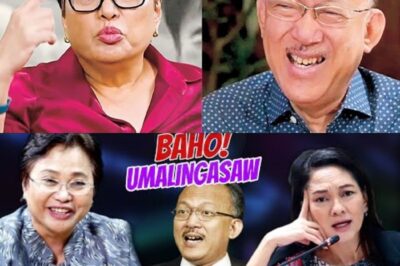 BREAKING NEWS! PASABOG NI ATTY ROWENA GUANZON BAHO NI RISA AT LLAMAS UMALINGASAW.