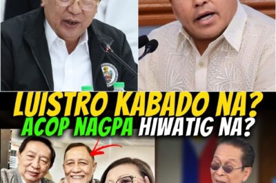 ABANTE SAFE KANA? LUISTRO KABADO NA? ACOP, HINILING ISAMPA ANG MGA MAGNANAKAW MONG KAIBIGAN SA HUKAY!