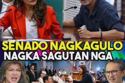 NAKU?! NAGKAGULO nsa SENADO, NAGKAROON ng SAGUTAN dahil sa BILLION PESOS BUDGETS