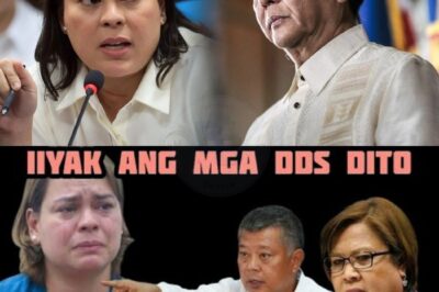 Nahulog na ang Legal na Kalasag: Bise Presidente Sara Duterte Nahaharap sa Non-Bailable na Kasong Plunder Kaugnay ng Shocking na Isyu ng P625 Million Confidential Funds