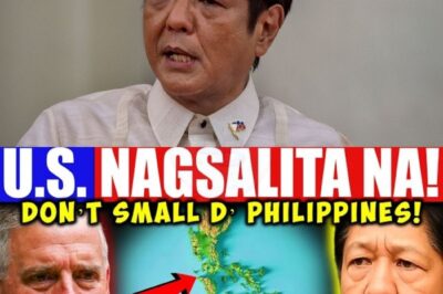 World Leaders Nagulat sa Sinabi ng Top US Official Tungkol sa Pilipinas! Ano ang Matinding Pahayag na Nagbigay-Diin sa Pagbabago ng Relasyon at Epekto sa Geopolitika ng Asya?