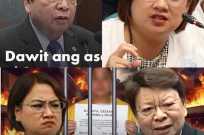 Wala nang takas! Ang makapangyarihang contractor na si Sarah Discaya ay sa kulungan na magpapasko matapos arestuhin ng NBI. Sa gitna ng galit, isang nakakagulantang na banta ang kanyang binitiwan: