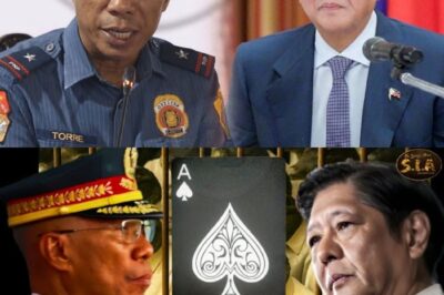 Ayan Na! Alas ni PBBM: Gen. Torre, Iaa-activate Bilang PNP Chief Ulit para sa Isang Misyon Walang Kapalit?! Ano ang Lihim na Plano at Malaking Hamon na Hinihintay sa Kanyang Pagbabalik sa PNP?