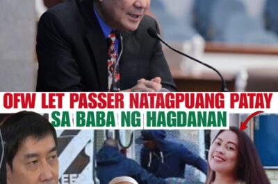 OFW Natagpuang Patay sa Ibaba ng Hagdanan: Ang Misteryosong Pagkamatay ni Rosel na Yumanig sa Pamilya, Nagpagulo sa Ahensiya, at Nagbukas ng mga Tanong na Hanggang Ngayon ay Walang Kasagot-sagot — Aksidente Ba Ito o May Mas Malalim na Katotohanang Itinatago?