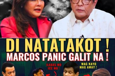 DUTERTE, NAGSALITA NA! PATAMA SA ICC, BBM AT TRILLANES—IMEE MARCOS DISMAYADO, VP SARA MAY MENSAHE!