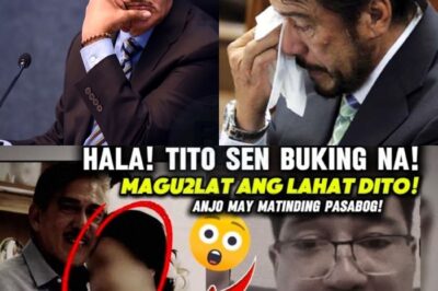 Ang Lihim ni Tito Sen: Isang Skandalo na Yumanig sa Mundo ng Pulitika at Showbiz — Ano ang mga Sekreto na Matagal Itinatago at Ngayon Ay Magbubukas ng Matinding Kontrobersiya?