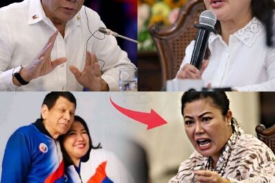 Isang Mainit na Sagutan ang Umusbong sa Gitna ng Cebu: Ano ang Tunay na Ugat ng Pahayag ng Gobernador Tungkol kay Pangulong Rodrigo Duterte?