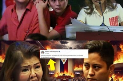 Isang Rebelasyong Walang Balikang Binitiwan sa Hindi Inaasahang Sandali, Biglang Nagpagulo sa Buong Senado!