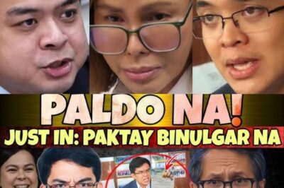 “KAKAPASOK LANG!” Leviste UMANO’y May Bagong “Expose” sa DPWH Insertions: 150M, Contractor, at Isang Listahang Hinahabol ng Bayan
