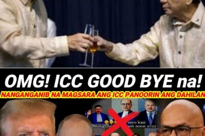 ICC, TULUYAN NA NGANG NABUWAG?! Ibat-ibang Bansa, Nag-alsa at Sabay-sabay na Kumalas sa Rome Statute; Duterte Case, Basura na nga ba?!