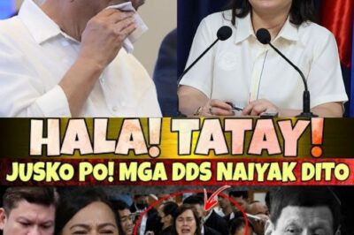Ano ang Hindi Ipinakita sa Publiko?