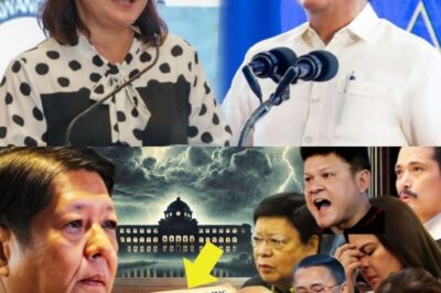 WALA NG TAKAS? Ruling ng Korte Suprema, Titibag sa Depensa nina VP Sara at DDS Senators!