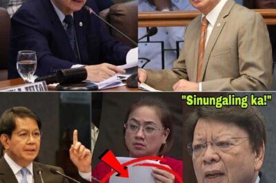 HULI SA AKTO! Marcoleta, ‘Nanginig’ at Hindi Nakapalag sa mga Bombang Ebidensya ni Ping Lacson; Sikretong ‘Pork’ at Korapsyon, Inilantad na sa Korte! Chiz, Bato, at Discaya, Damay sa Pasabog?!