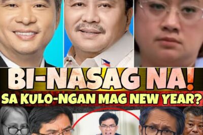 SABOG ANG LIHIM! Listahan ng mga ‘Big Fish’ sa Flood Control Scam, Inilabas na! Cong. Leviste, Kinumpirmang may ‘Kumanta’ na sa Loob!