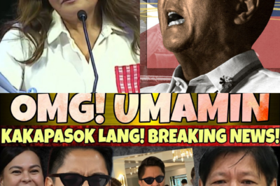 Pasabog sa Gitna ng Ingay: Isang Hinuha sa mga Pahayag, Reaksiyon, at Kontrobersiyang Yumanig sa Pulitika