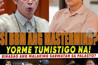 Bumulusok ang Katotohanan! EBIDENSYA ni MAYOR ISKO MORENO Lumalabas na Kayang PAATUMBHAIN ang Malalaking Puwersa sa Palasyo!