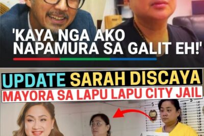 HUSTISYA PARA SA BINAHAGI! Sarah Discaya, Nakulong na nga ba?! Ang Madilim na Katotohanan sa Likod ng Bilyon-Bilyong ‘Ghost’ Flood Control Projects, Isiniwalat na!
