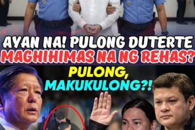 AYAN NA! PULONG DIZON POSIBLENG MAKUKULONG? MGA REBELASYON NA YANIG SA BUONG BANSA!