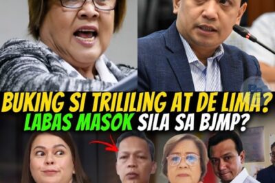 Bistado ang Lihim! Trillanes, De Lima at ang Misteryosong Papel ni Ramil Madiaga—Ano ang Totoo?