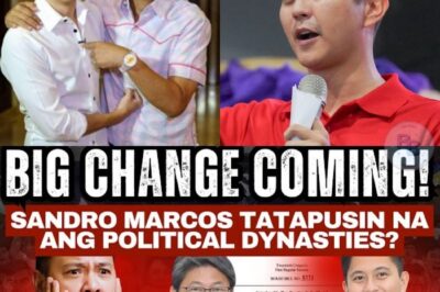 Sandro Marcos May Matinding Plano: Siya Ba ang Unang Magwawasak sa Political Dynasties?