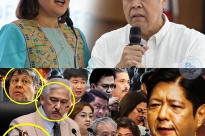 ANG LIHIM NA OPERASYON NA GUMISING SA BAYAN: PAANO BINASAG NINA PBBM, TITO SEN AT SEN. KIKO ANG ISANG ‘HALIMAW’ NA MATAGAL NANG ITINATAGO NG MGA TIWALI