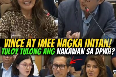 Sa Likod ng Sigawan: Ang Gabi na Yumanig kina Vince Dizon at Imee
