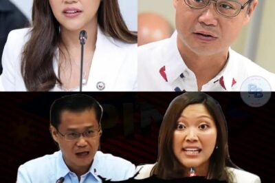 “Sa Gitna ng Sigawan sa Senado: Gatchalian at Suansing, Nagbanggaan Dahil sa Kontrobersyal na Pondo ng DPWH”