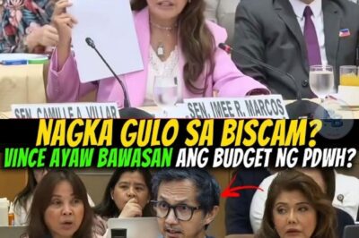 “Isang Mukha, Isang Lihim: Ang Viral na Banggaan nina Vince at ang Aninong Bumabalot sa DPWH – Nabisto ba ni Imee Marcos?”