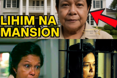 Nabunyag ang Itinatagong Mansyon at Lupang Milyon-Milyon ang Halaga—Ang Lihim na Yaman ni Nora Aunor na Ikinalat ang Katahimikan ng Showbiz